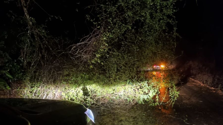 A Rodovia LMG-858 segue liberada, mas permanece em alerta após queda de árvore e chuvas intensas